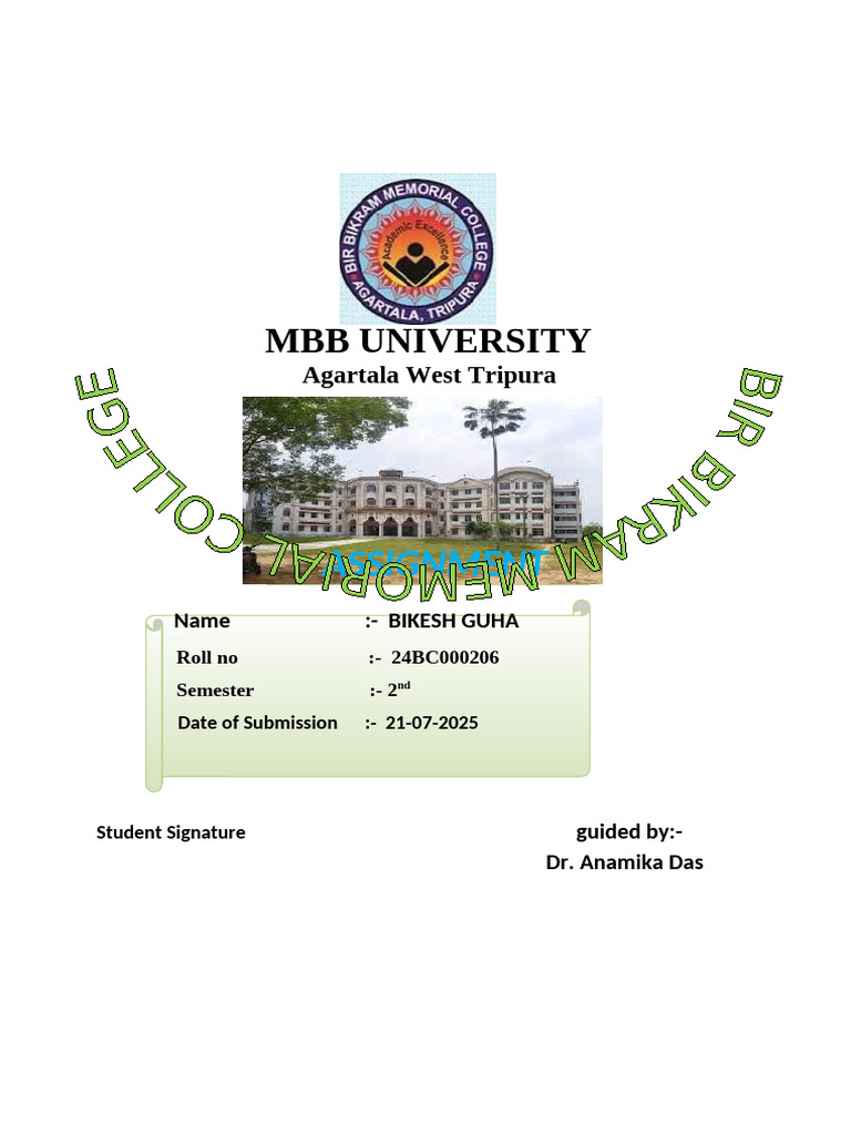 MBB University | PDF