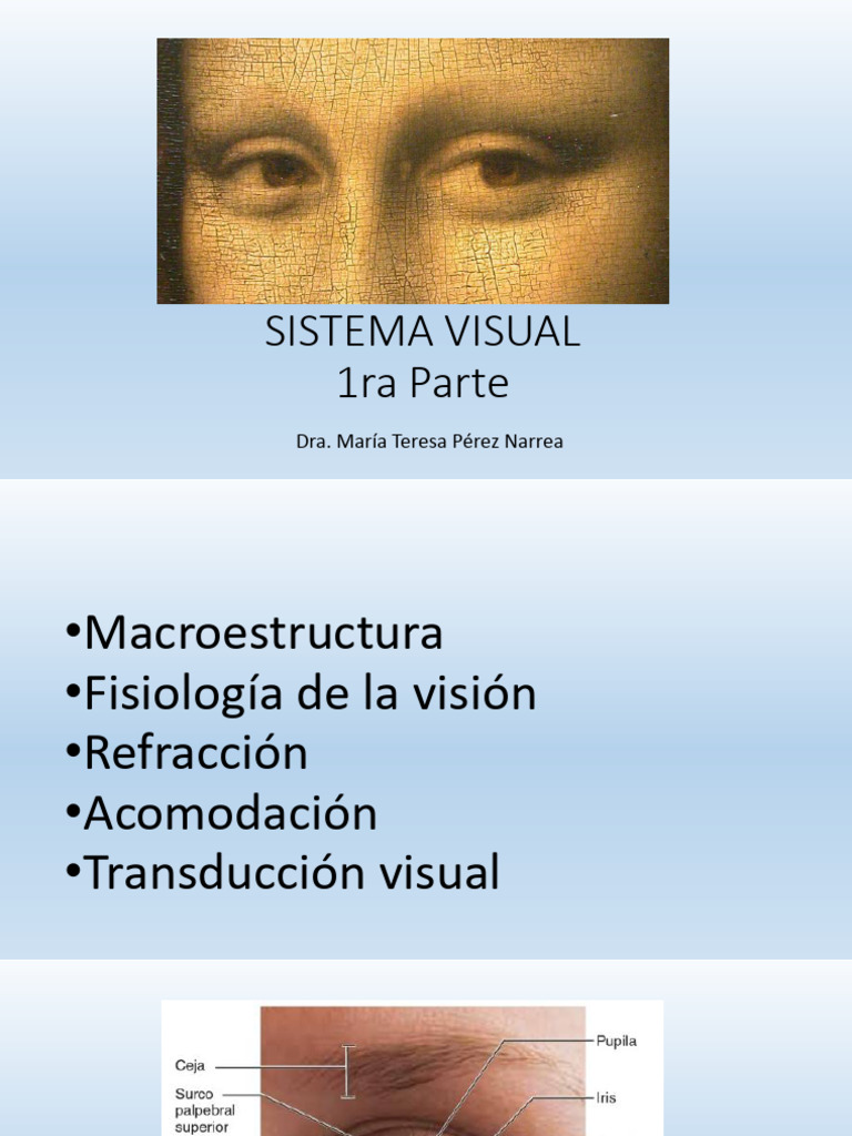 SISTEMA VISUAL - 1ra Parte | PDF