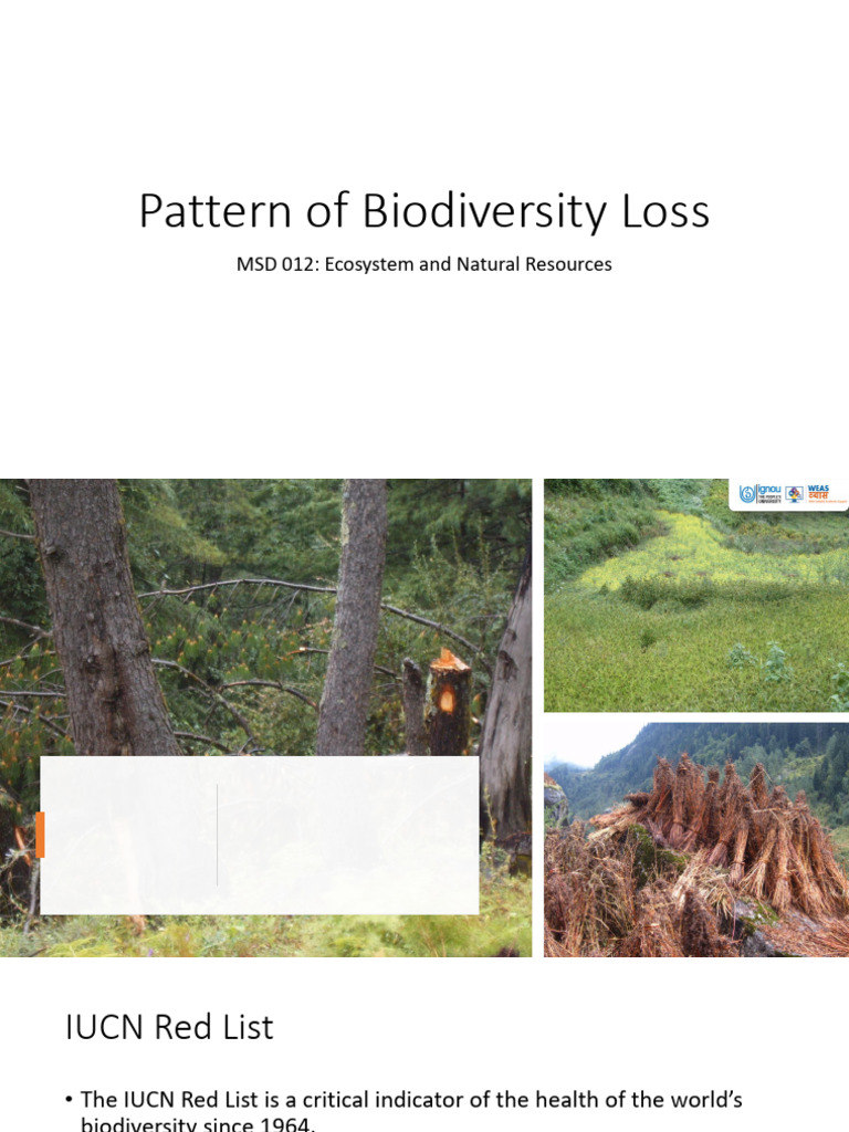 U3 Pattern of Biodiversity Loss Editor | PDF | Endangered Species ...