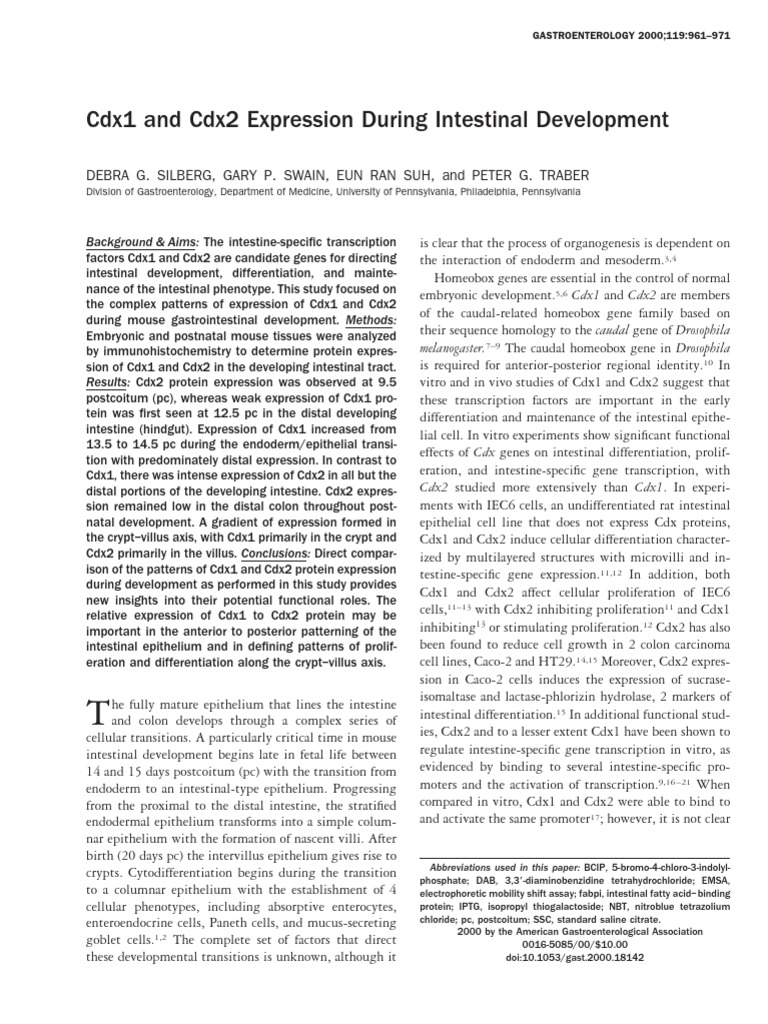Cdx1 and Cdx2 Expression During Intestinal Develop | PDF | Cellular ...
