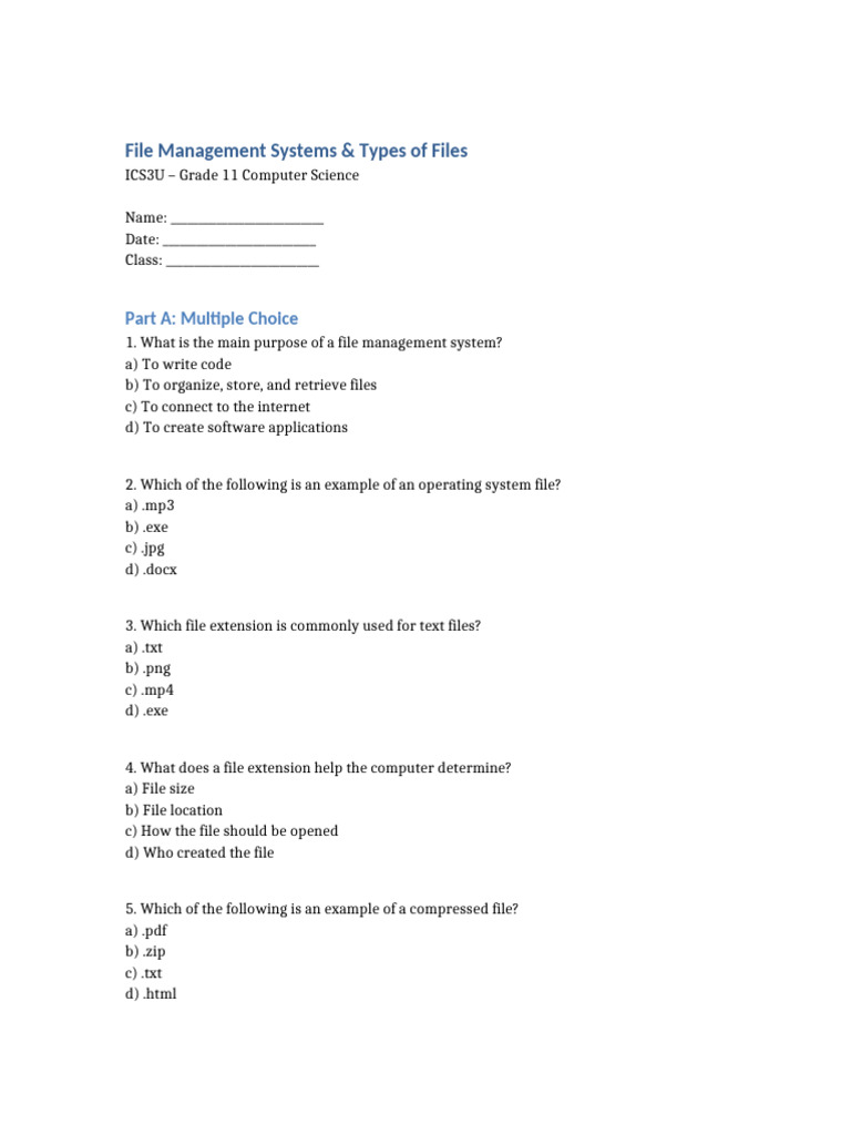 ICS3U File Management Worksheet | PDF