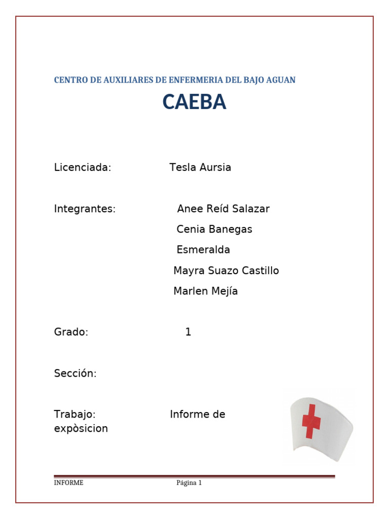 anee | PDF | Quemar | Piel