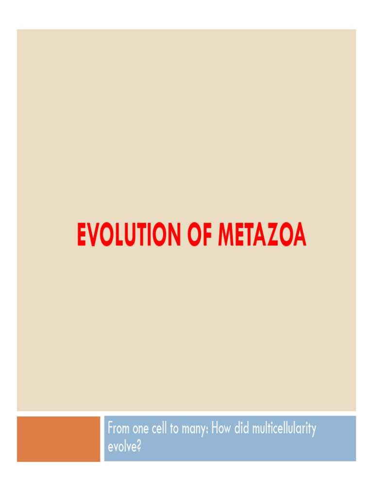 Animal Lec 5 | PDF | Biology | Zoology