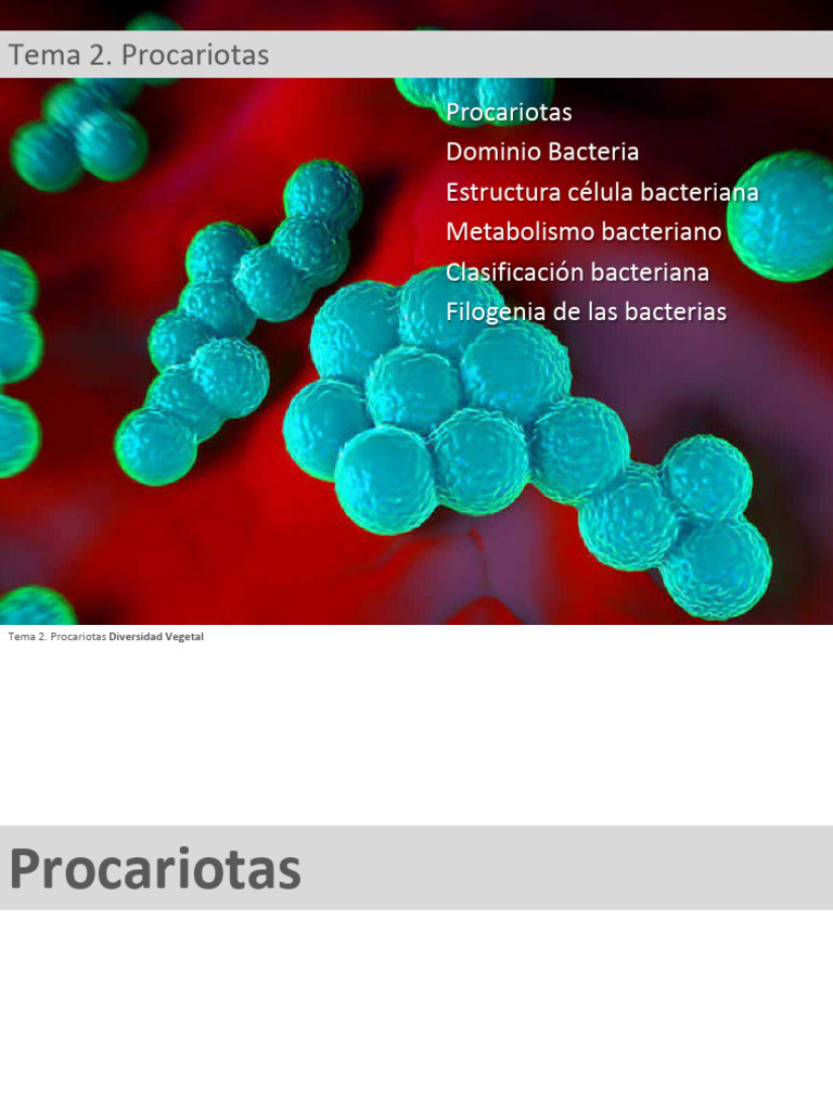 Tema 2 Procariotas | PDF | Las bacterias | Plásmido