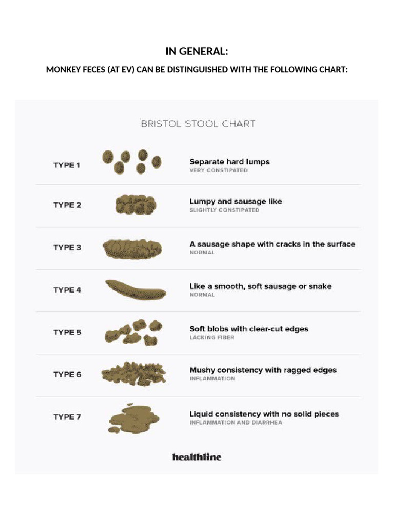 Feces Chart | PDF
