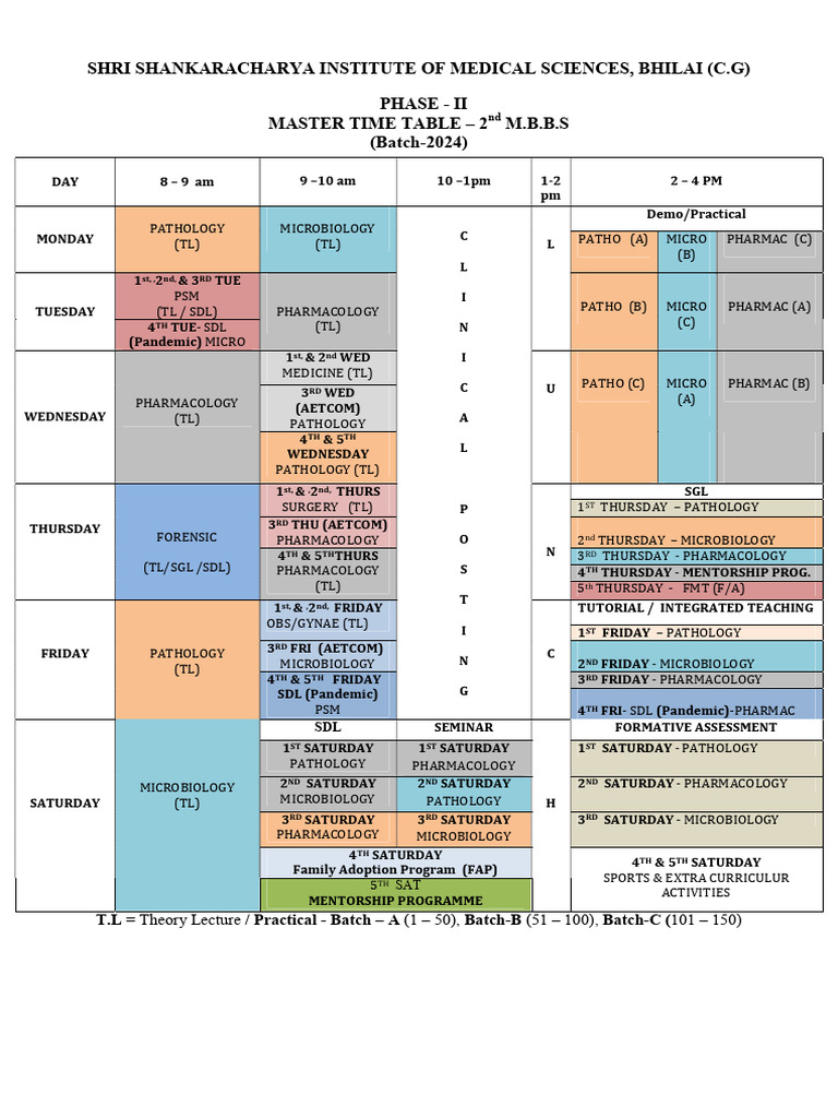 Master Timetable Batch-2024 (II-MBBS) | PDF | Medicine | Health Care