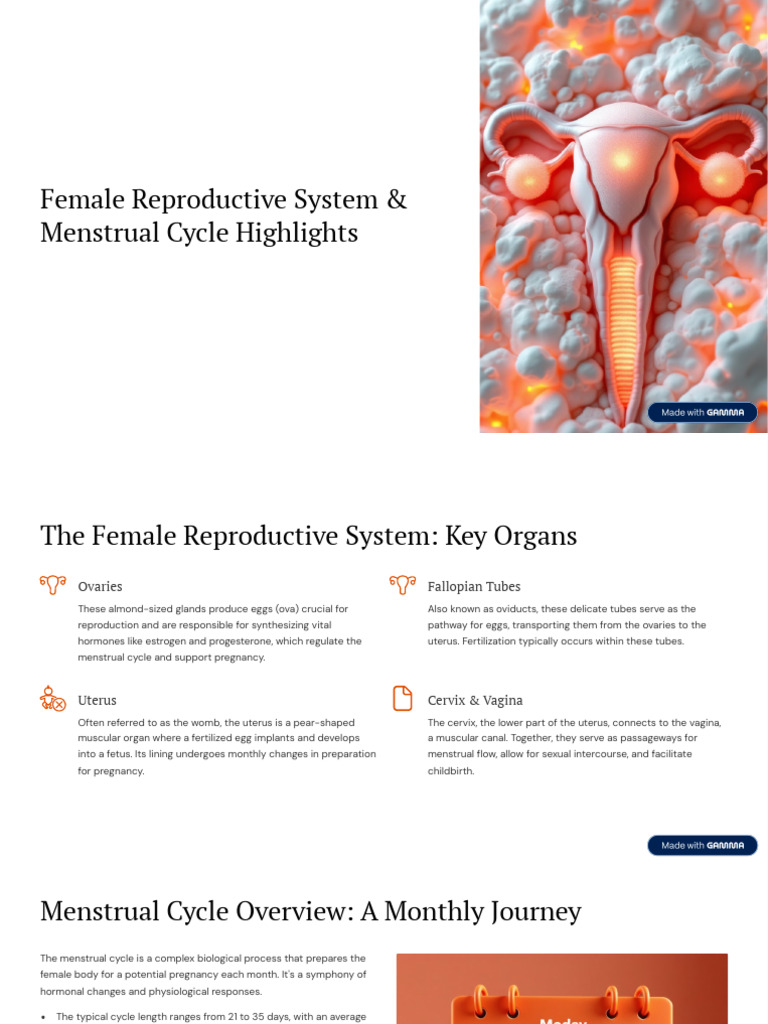 Female Reproductive System and Menstrual Cycle Highlights | PDF ...
