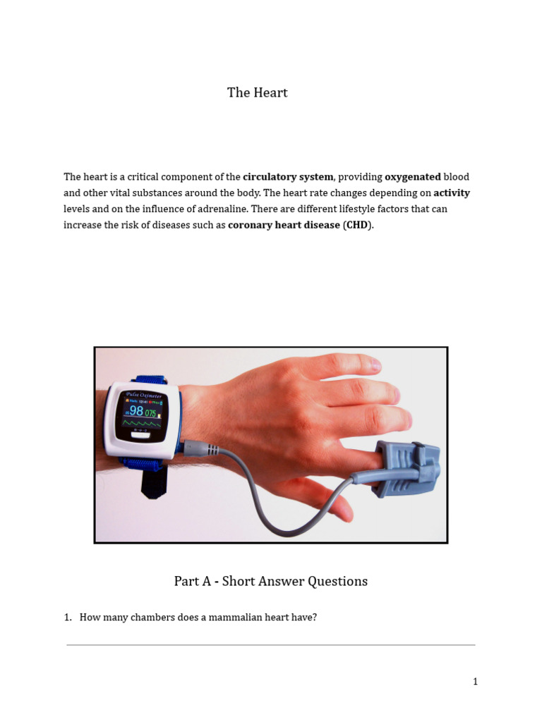 The-Heart | PDF | Heart | Heart Valve