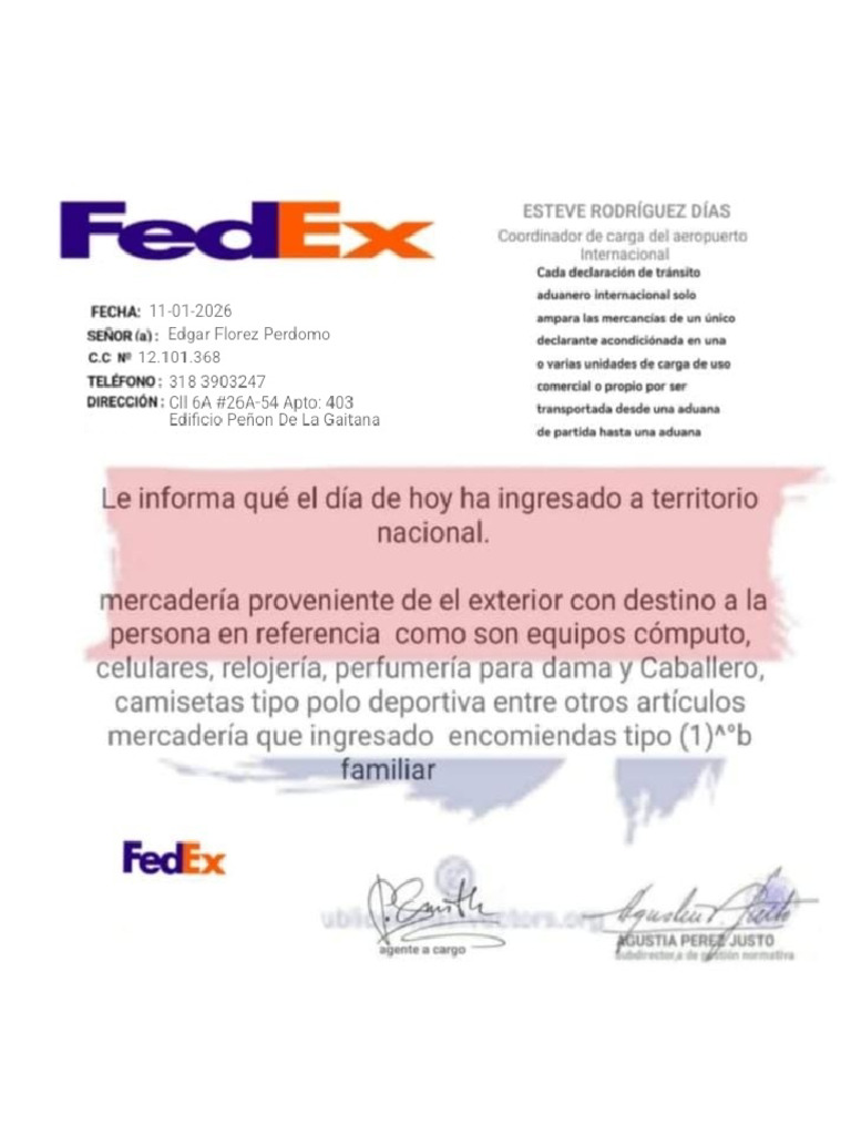 Info Fedex 1 | PDF