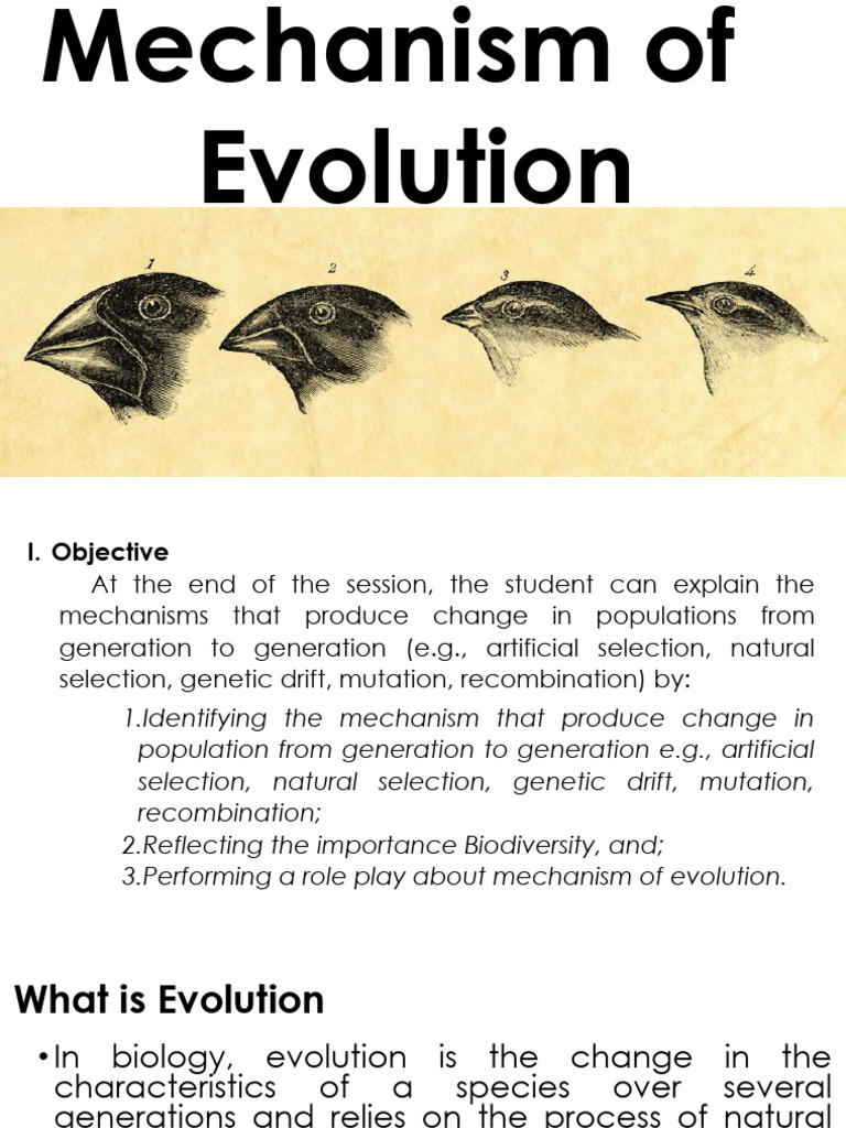 2.1 Mechanism of Evolution | PDF | Natural Selection | Reproduction
