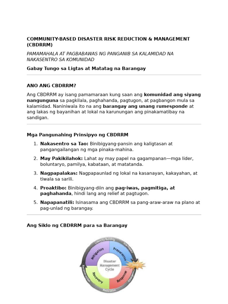 CBDRRM | PDF