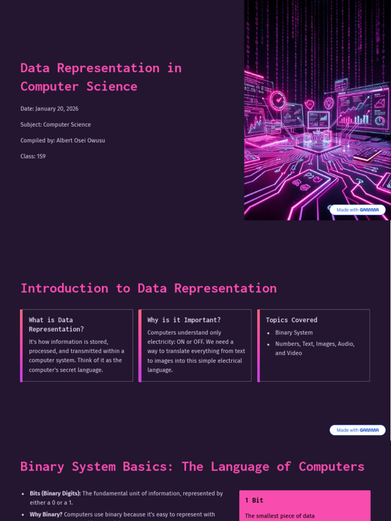 Data Representation in Computer Science | PDF | Bit | Ascii