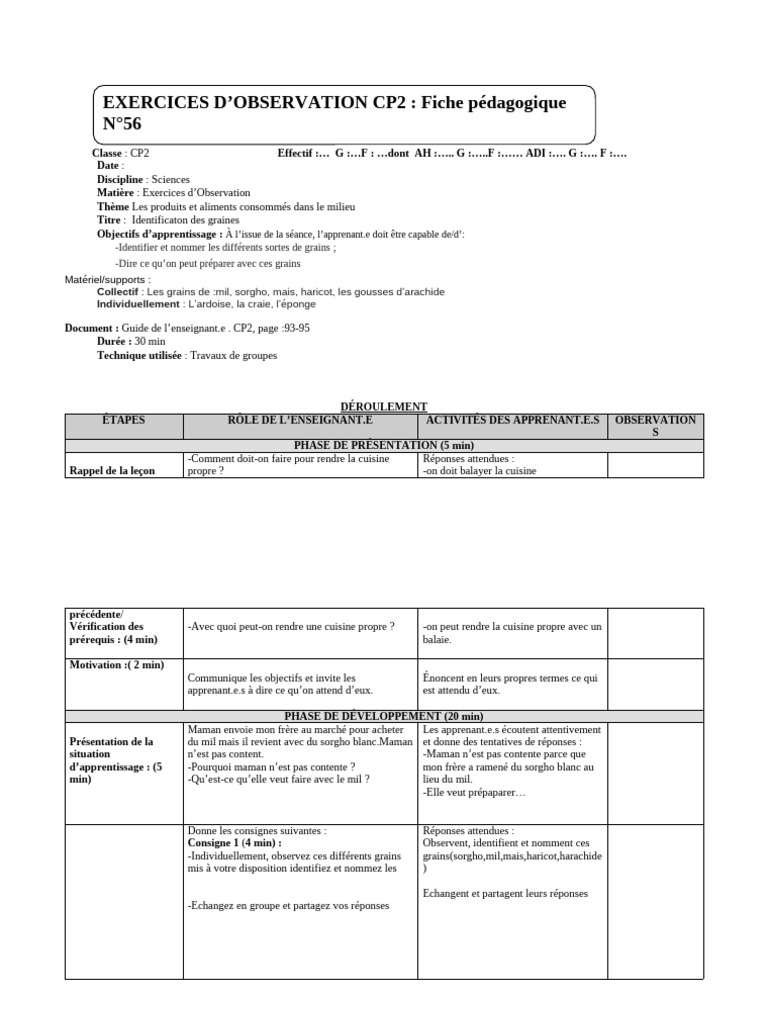 Exercices D'observattion Cp2 Fiche Vièrge | PDF