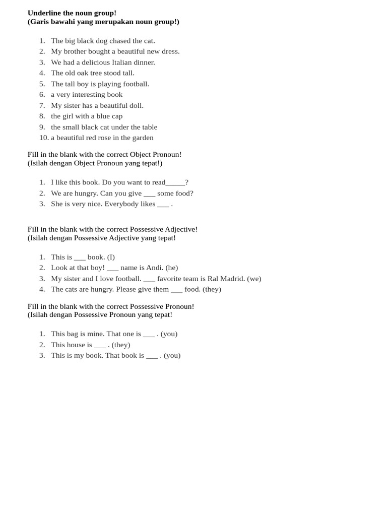 Underline The Noun Group | PDF