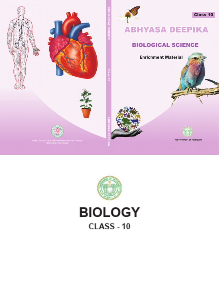 Bio EM | PDF | Respiratory Tract | Lung