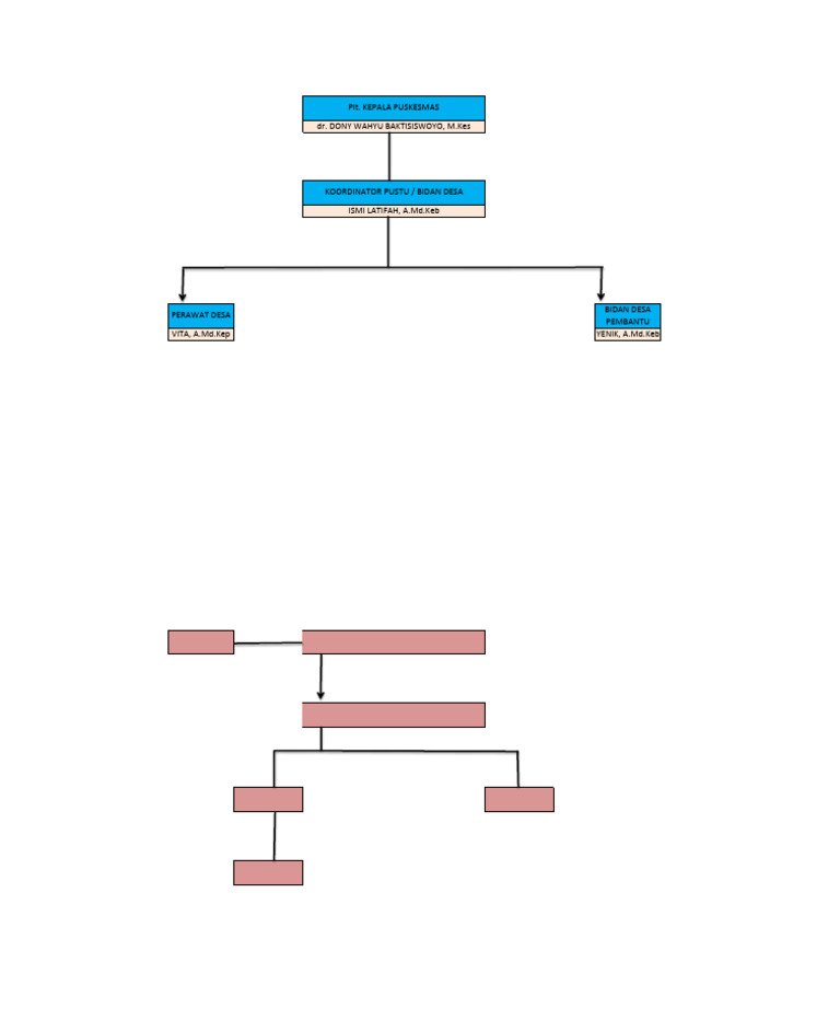 Struktur Organisasi Pustu Junjung | PDF