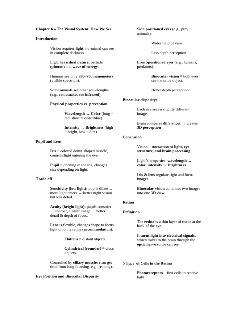 Chapter 6 The Visual System | PDF | Visual System | Retina