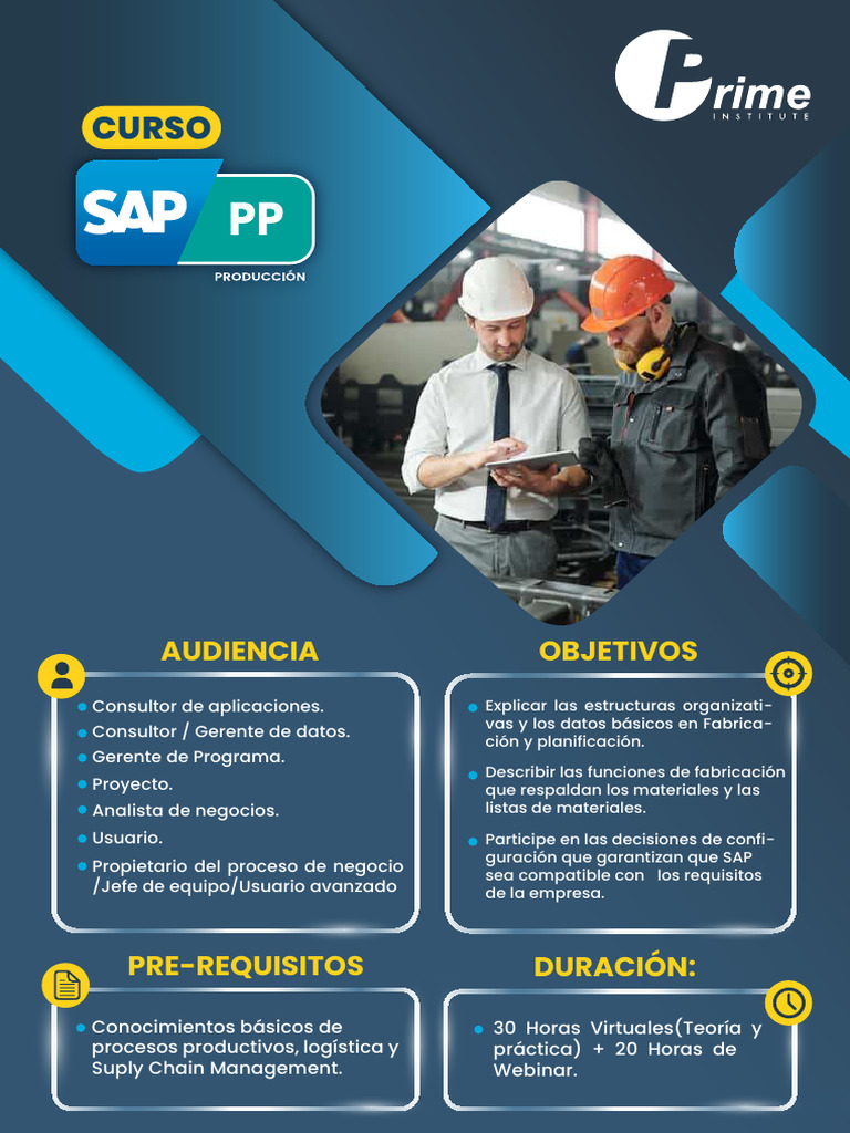 Sap PP | PDF | Logística | Planificación