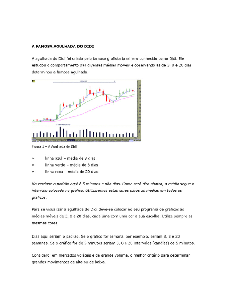 Didi | PDF