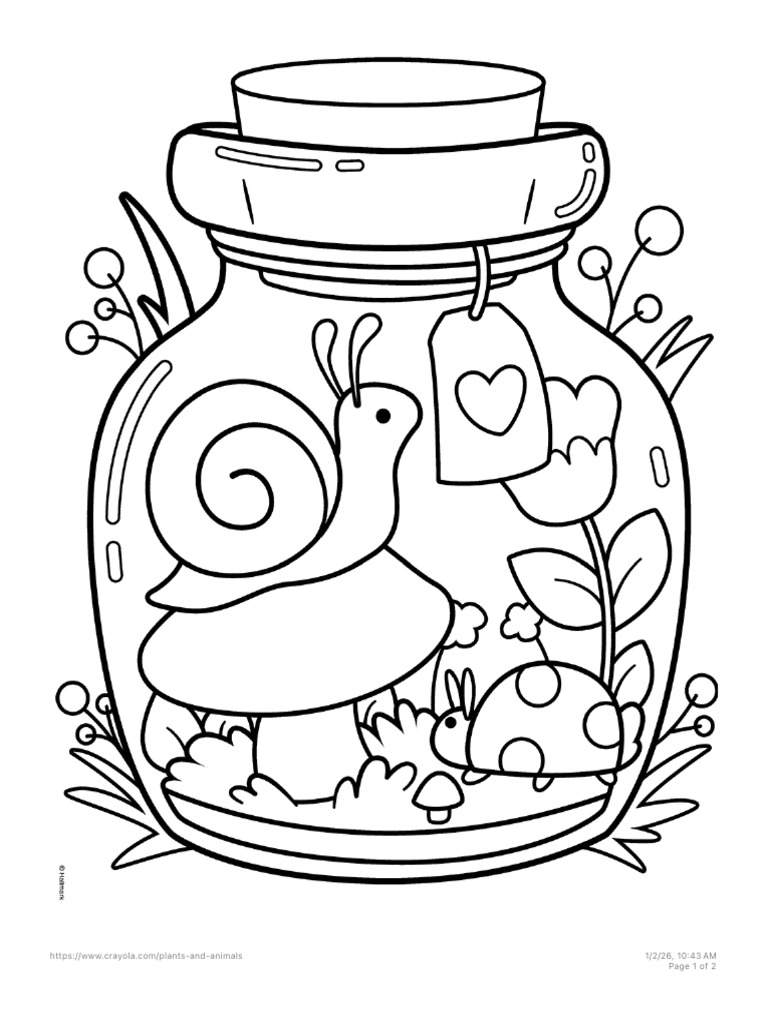 Snail | PDF