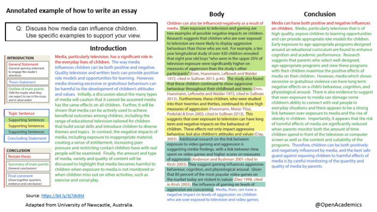 Annotated Example of How to Write an Essay | PDF