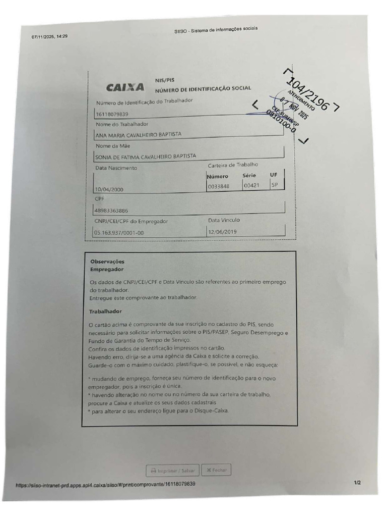 Pis Extrato | PDF