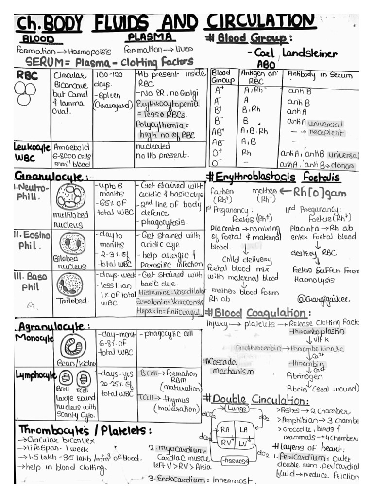 Biology Short Notes | PDF