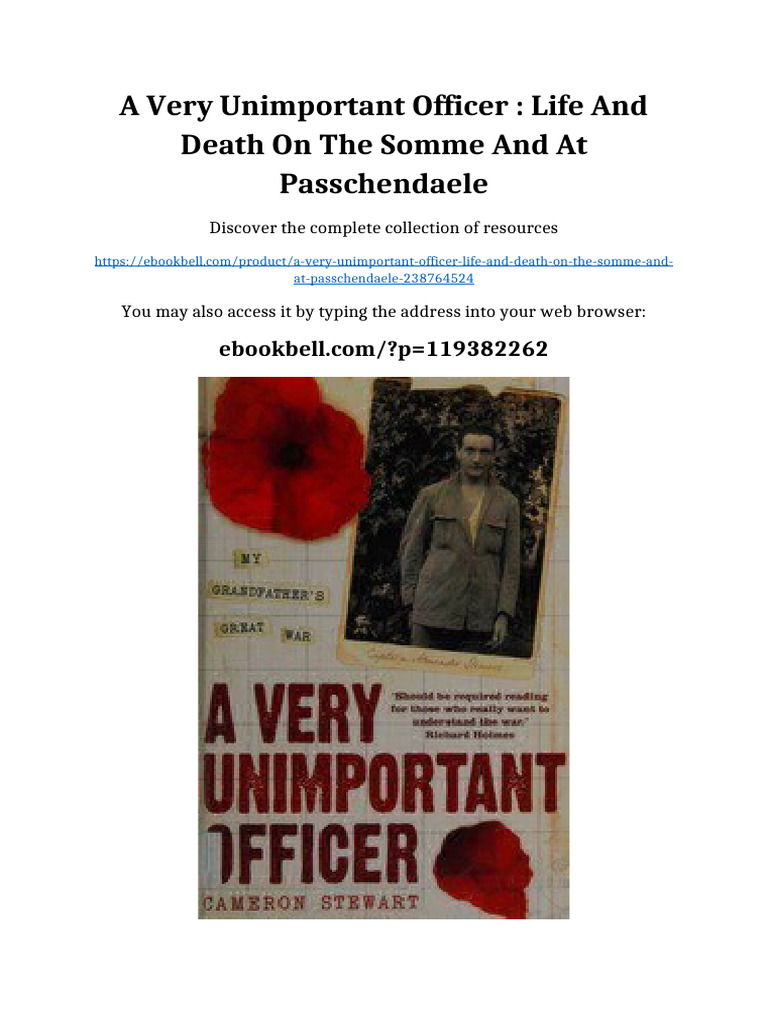 A Very Unimportant Officer: Life and Death On The Somme and at ...