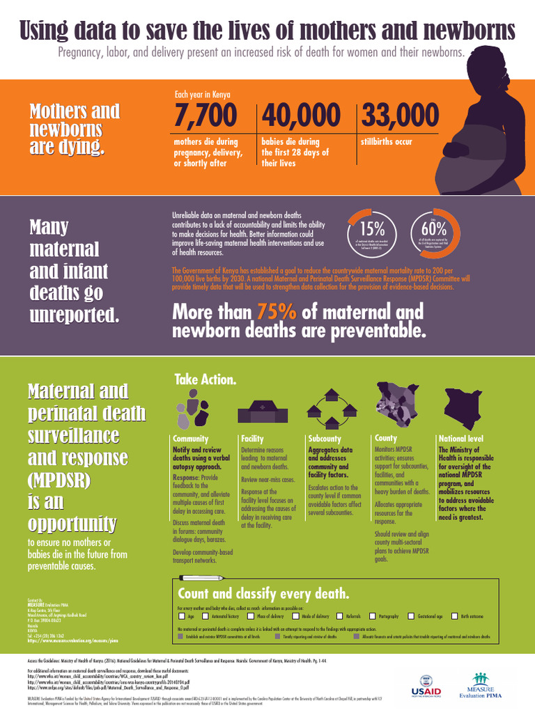 Maternal Mortality Poster | PDF | Maternal Death | Infant Mortality