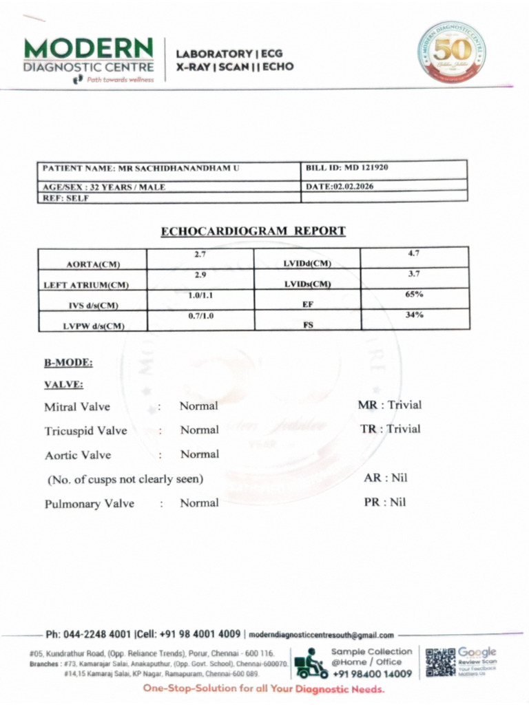 Echo - Report - Summary 02 02 2026 19 42 | PDF