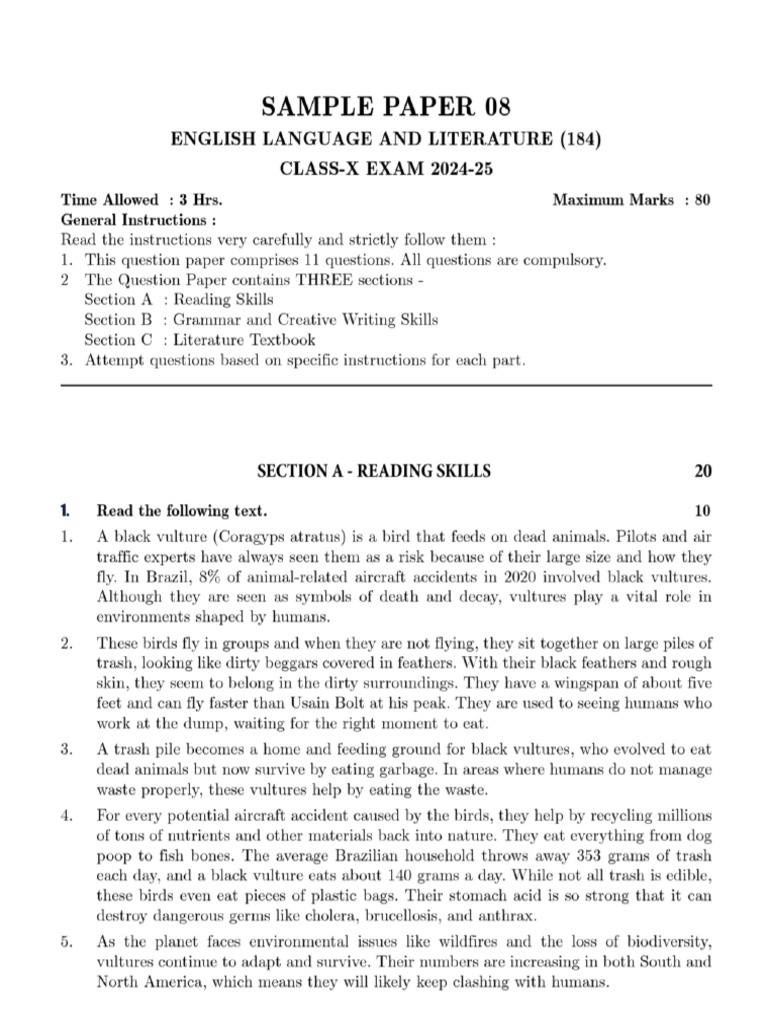 Eng Sample Paper 8-18 | PDF
