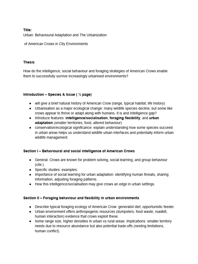 Kami Export - Outline for Final Project First Draft Emily Morrissey (1 ...