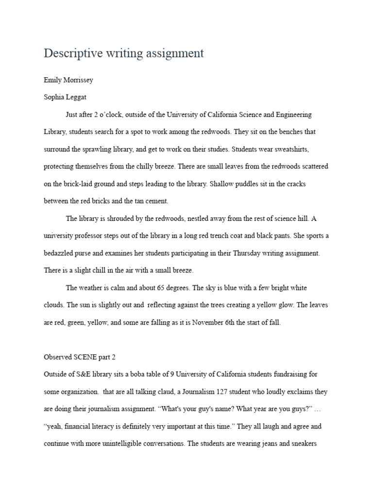 Descriptive Writing | PDF