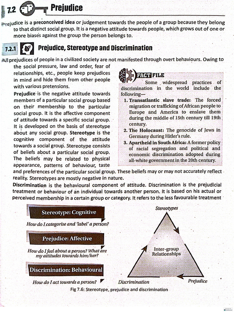 Prejudice | PDF