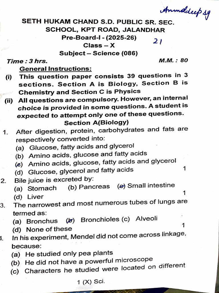 10 Class Question Paper Practice | PDF