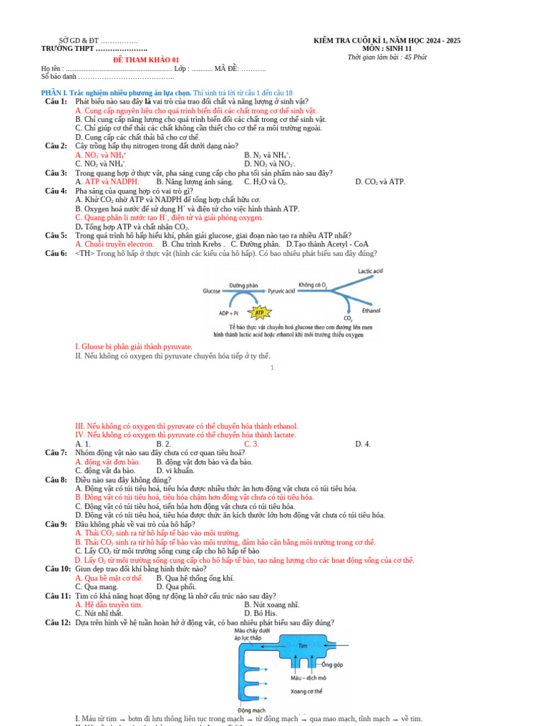 Ôn tập 11 CK1 | PDF