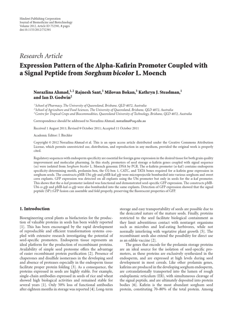 Research Article: Expression Pattern of The Alpha-Kafirin Promoter ...