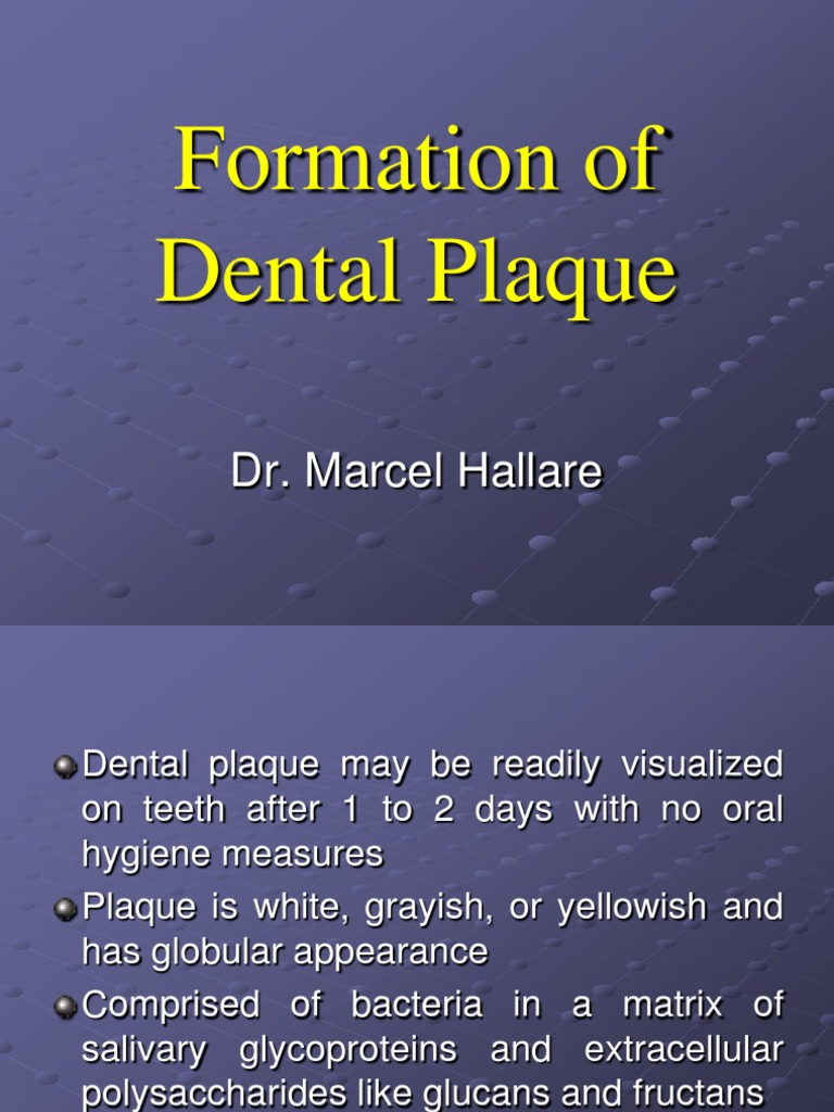 6 Formation of Dental Plaque Oral Hygiene Human Tooth
