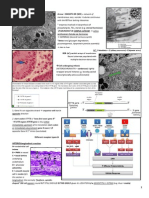 Download Basic Science quick facts step1 by Hannah Jackson SN99211452 doc pdf