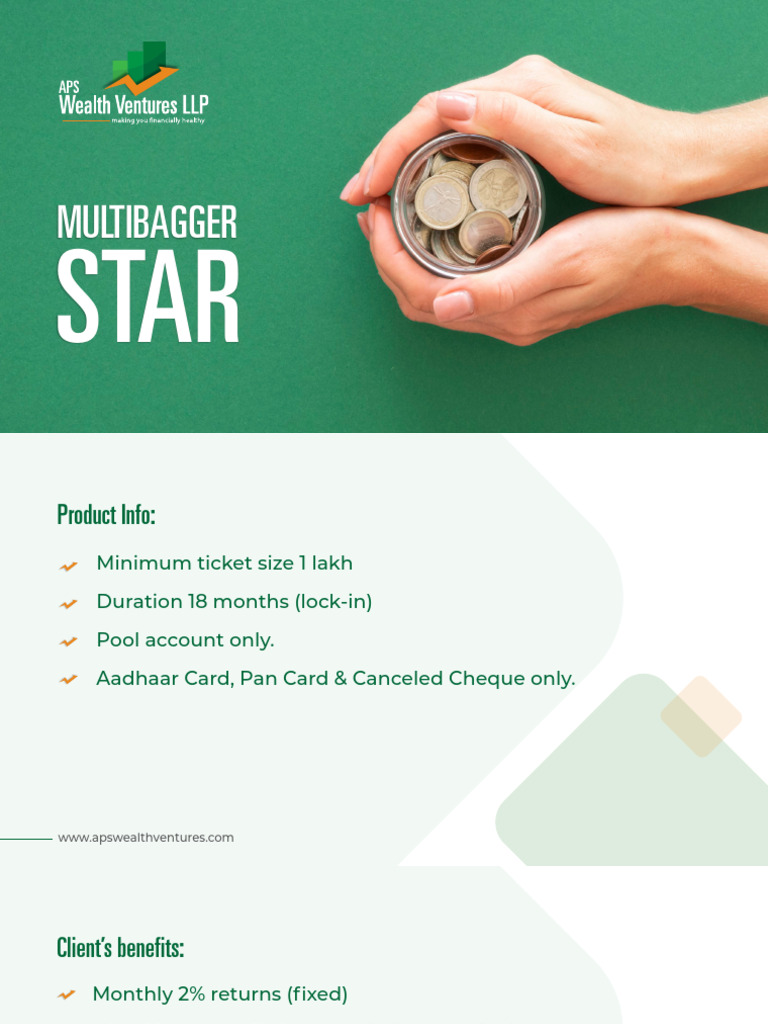 Multibagger Star | PDF