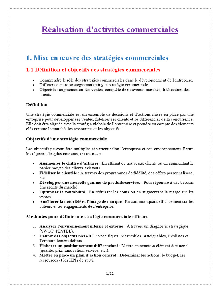 Realisation Activites Commerciales | PDF | Stratégie marketing | Business