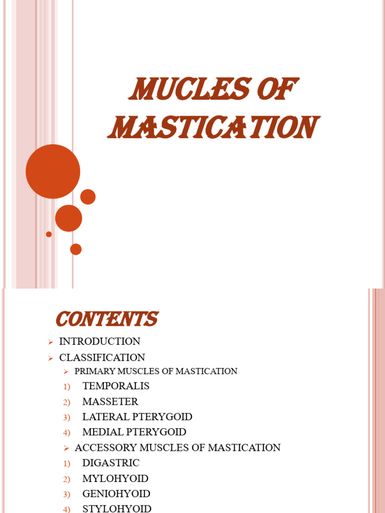 1. MUCLES OF MASTICATION | PDF | Primate Anatomy | Human Head And Neck
