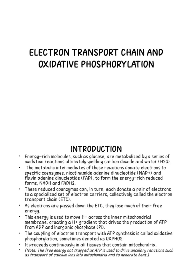Electron Transport Chain and Oxidative Phosphorylation | PDF | Electron ...