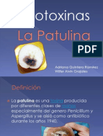 Expo - La Patulina