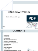 Binocular Vision: Click To Edit Master Subtitle Style