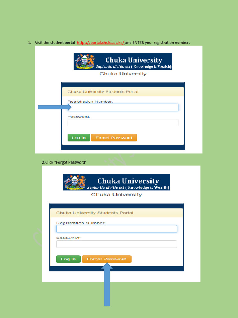 Student Portal Login Manual | PDF