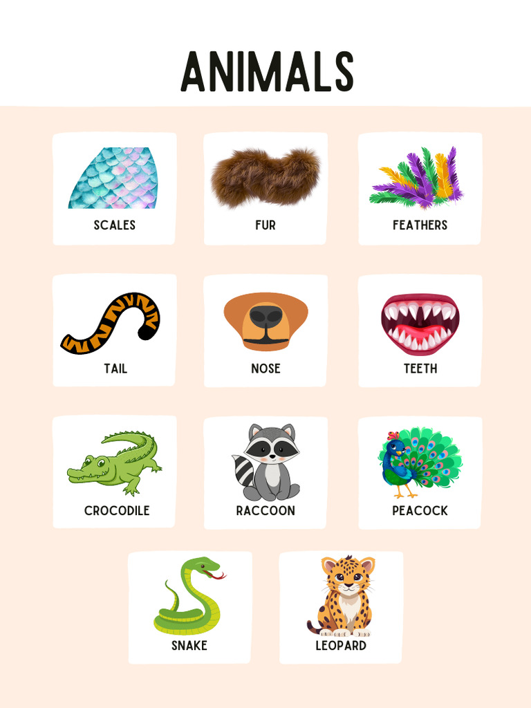 Animals Kids Can 3 Unit 2 - 2 Pps | PDF