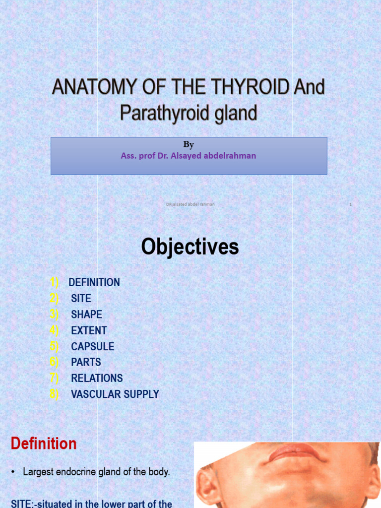 Anatomy of Thyroid, Parathyroid 2025 | PDF | Common Carotid Artery ...