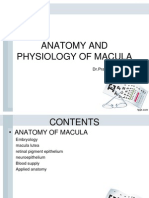 New Anatomy and Physiology of Macula