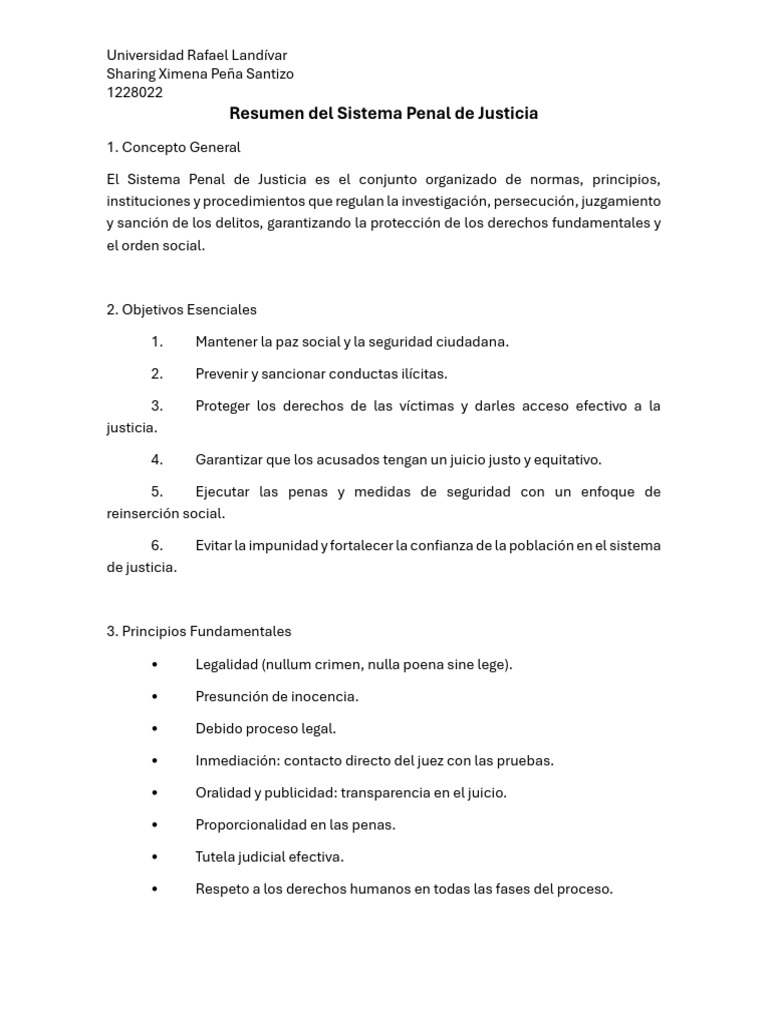 Resumen Del Sistema Penal de Justicia | PDF | Mandato | Debido al proceso